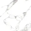 GRESIE TORRANO WHITE MAT 60X120